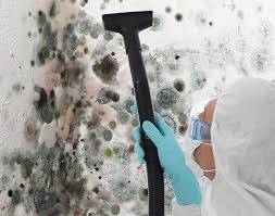 Best Mold Removal for HVAC Installations in Warrenton, VA